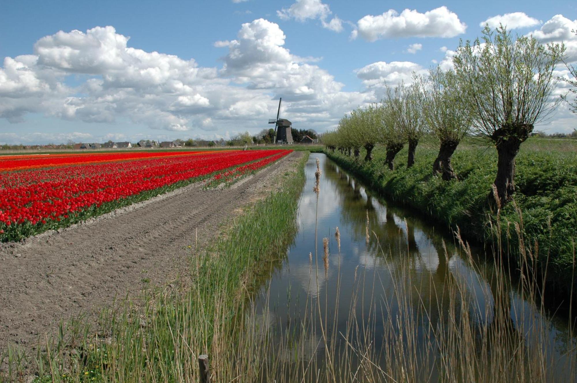 Restinn Medemblik Wieringerwerf Eksteriør bilde