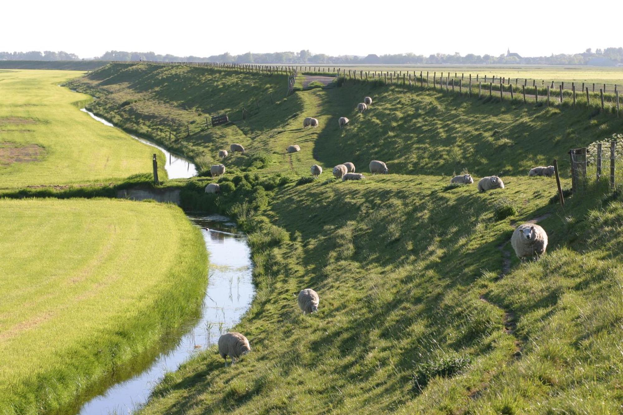 Restinn Medemblik Wieringerwerf Eksteriør bilde